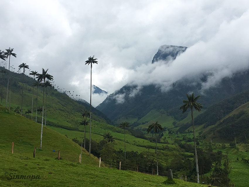 valle_cocora_colombia_vbd