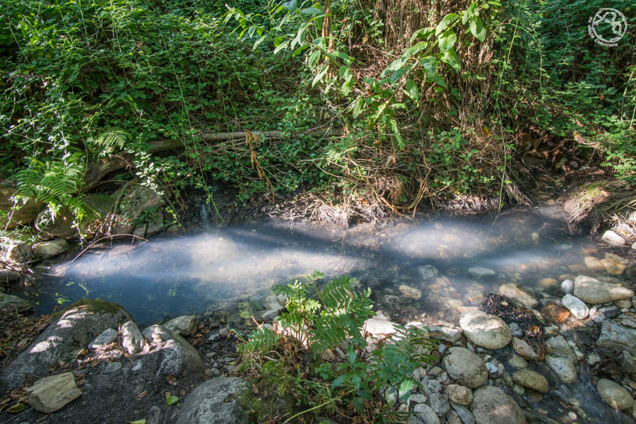 Termas de Prexigueiro Termas de Prexigueiro