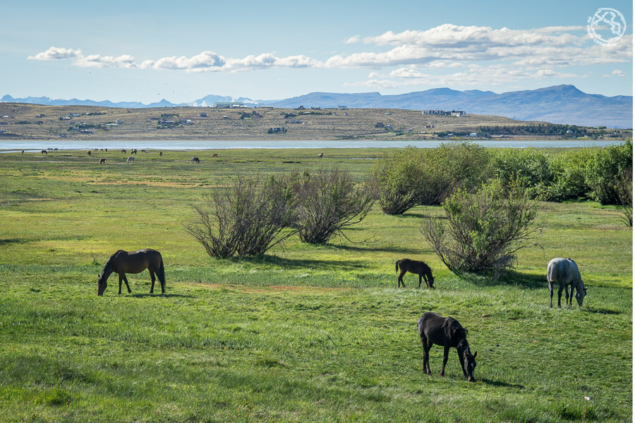 qué ver en El Calafate