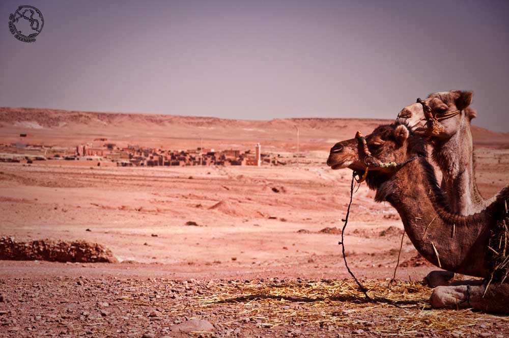 Excursión al desierto de Marruecos