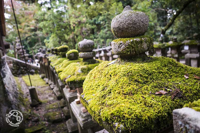 Templos de Nara Japón