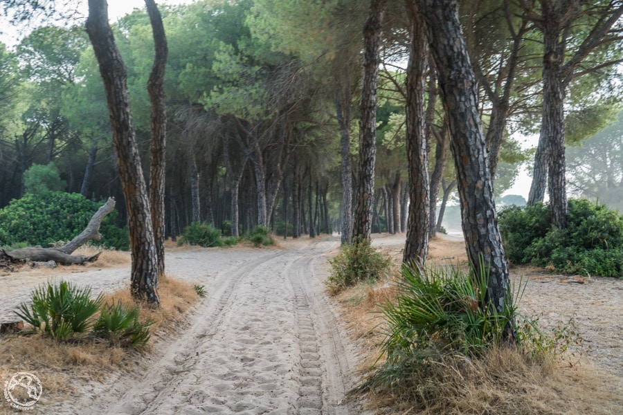 Qué ver en Huelva-12