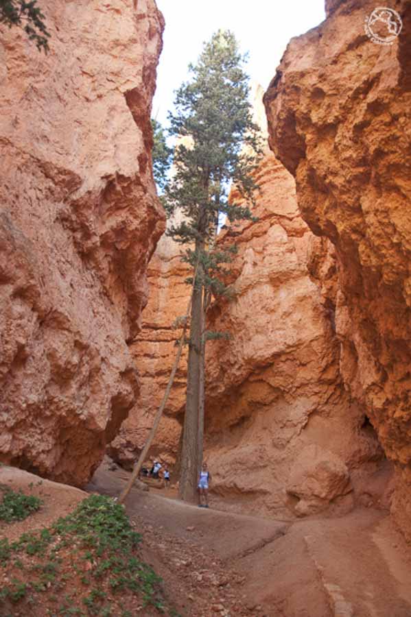 Bryce Canyon visita