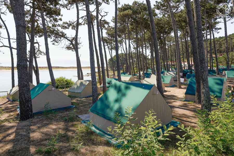 Camping islas Cíes precios