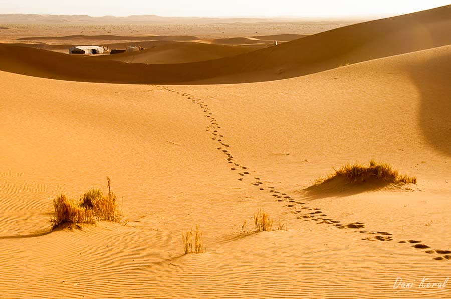 Viaje al desierto de Marruecos Merzouga