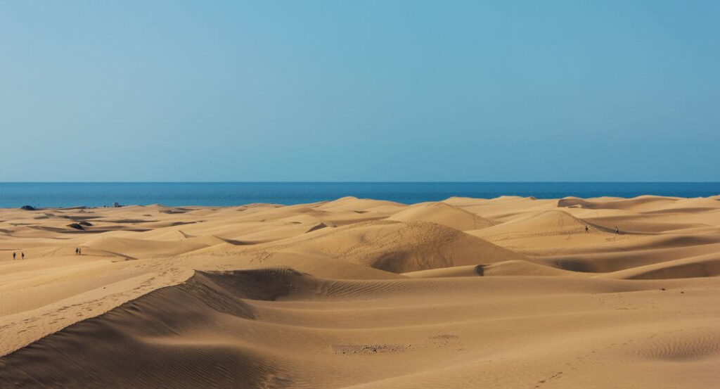 Visitar las dunas de Maspalomas y playa de las Meloneras