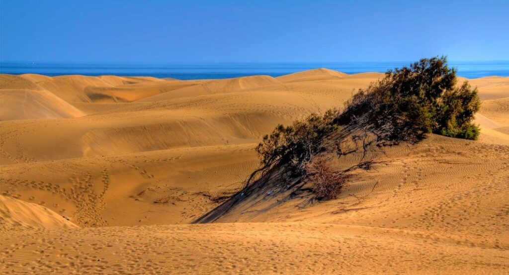 Visitar las dunas de Maspalomas y playa de las Meloneras, al sur de Gran Canaria